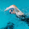 Occhialini da nuoto Predator Blu-Bianco Tinti-Smoke Lenti Regular Zoggs 461037BLWHTSMR