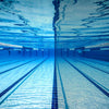 Occhialini da nuoto Predator Flex Grigio-Blu-Smoke Piccolo Zoggs 461041GYBLTSMS