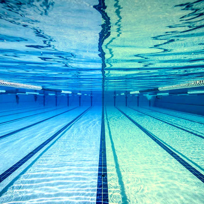 Occhialini da nuoto Predator Titanio Grigio-Nero Specchiato-Rosa Lenti Regular Zoggs 461065GYBKMPKR