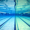 Occhialini da nuoto Predator Titanio Grigio-Nero Specchiato-Rosa Lenti Regular Zoggs 461065GYBKMPKR